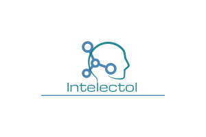 Intelectol, Memory secret inc.