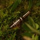 Arturo Alba Solucion Nativa Desalterante 20 x 1 ml Arturo Alba Solucion Nativa Desalterante 20 x 1 ml