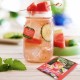 Bigelow Botanicals Cold Water Infusion Watermelon Cucumber Mint Bigelow Botanicals Cold Water Infusion Watermelon Cucumber Mint