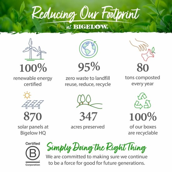 Bigelow Botanicals Cold Water Infusion Watermelon Cucumber Mint Bigelow Botanicals Cold Water Infusion Watermelon Cucumber Mint