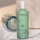 Twelve Beauty Prebiotic Natural Shine Conditioner 300ml Twelve Beauty Prebiotic Natural Shine Conditioner 300ml