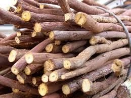 raiz de regaliz proteccion solar