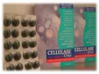 Cellulase