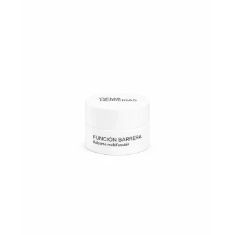 GH BALSAMO FUNCION BARRERA 15G