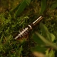 Arturo Alba Solució Nativa Desalterant 20 x 1 ml