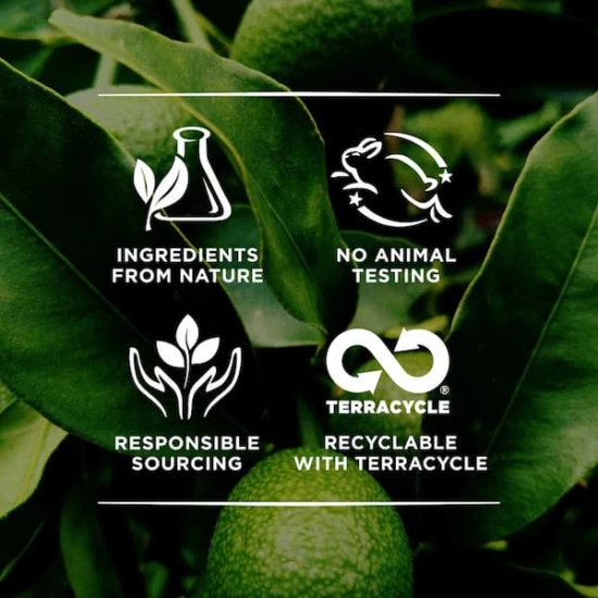 Burt's Bees Facial Cleansing Towelettes (30 Unidades)