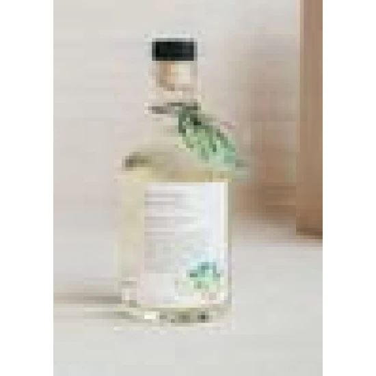 CGH Wild Ginger & Agave Bubbling Bath 