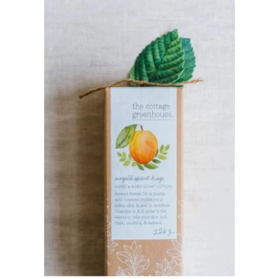 CGH Sungold Apricot & Sage Hand & Body Light Lotion