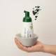 Huangjisoo Brightening 180ml