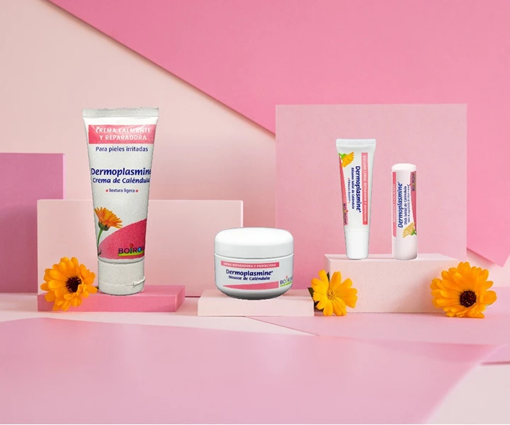 BOIRON Andorra BOIRON Andorra