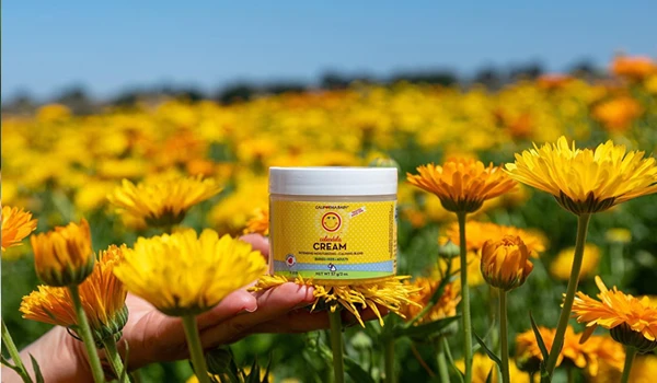 composició de productes de CALIFORNIA BABY amb delicades flors